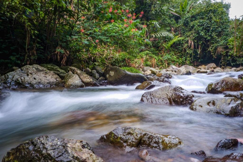 Hotel Parama Puncak Kültér fotó